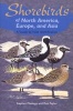 Shorebirds Of North America, Europe, And Asia - A Guide To Field Identification (Paperback) - Don W Taylor Photo