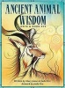 Ancient Animal Wisdom - Deck and Book Set (Book) - Stacy James Photo