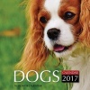 Dogs Calendar 2017 - 16 Month Calendar (Paperback) - David Mann Photo