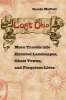 Lost Ohio - More Travels into Haunted Landscapes, Ghost Towns, and Forgotten Lives (Paperback) - Randy McNutt Photo