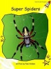 Super Spiders, Level 2 - Early (Paperback, International edition) - Pam Holden Photo