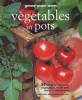 Grow Your Own Vegetables in Pots (Paperback) - Deborah Schneebeli Morrell Photo