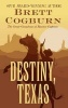 Destiny, Texas (Large print, Hardcover, large type edition) - Brett Cogburn Photo