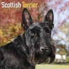 Scottish Terrier Calendar 2017 (Calendar) - Avonside Publishing Ltd Photo