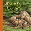 Where Do I Sleep? - A Pacific Northwest Lullaby (Board book) - Jennifer Blomgren Photo