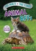 Five-Minute True Stories: Animal Bffs (Hardcover) - Aubre Andrus Photo