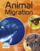 Animal Migration (Paperback) - Brian Krumm Photo