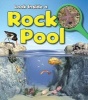 Rock Pool (Hardcover) - Louise Spilsbury Photo