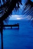 Pier on Roatan Honduras Journal - 150 Page Lined Notebook/Diary (Paperback) - Cool Image Photo