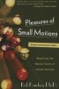 Pleasures of Small Motions - Mastering the Mental Game of Pocket Billiards (Paperback, Rev. and expanded ed) - Bob Fancher Photo