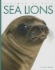 Sea Lions (Hardcover) - Kate Riggs Photo