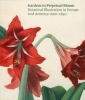 Gardens in Perpetual Bloom - Botanical Illustration in Europe and America 1600-1850 (Paperback) - Nancy Keeler Photo