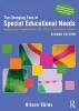 The Changing Face of Special Educational Needs - Impact and Implications for SENCOs, Teachers and Their Schools (Paperback, 2nd Revised edition) - Alison Ekins Photo