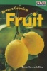 Always Growing - Fruit (Foundations) (Paperback) - Dona Rice Photo