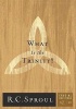 What Is the Trinity? (Paperback) - R C Sproul Photo