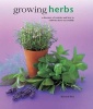 Growing Herbs (Hardcover) - Richard Bird Photo