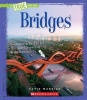 Bridges (Paperback) - Katie Marsico Photo