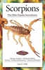 Scorpions (Advanced Vivarium Systems) (Paperback) - Jerry G Walls Photo