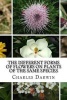 The Different Forms of Flowers on Plants of the Same Species (Paperback) - Charles Darwin Photo