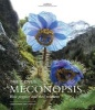 The Genus Meconopsis - Blue Poppies and Their Relatives (Hardcover) - Christopher Grey Wilson Photo