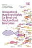 Occupational Health and Safety for Small and Medium Sized Enterprises (Hardcover) - EKevin Kelloway Photo