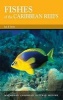 Fishes of the Caribbean Reefs (Paperback, Caribbean ed) - Ian F Took Photo