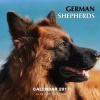 German Shepherds Calendar 2017 - 16 Month Calendar (Paperback) - David Mann Photo