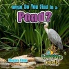 What Do You Find in a Pond? (Paperback) - Megan Kopp Photo