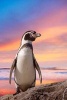 Penguin at Sunset Journal - 150 Page Lined Notebook/Diary (Paperback) - Cool Image Photo