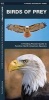 Birds of Prey - A Folding Pocket Guide to Familiar North American Species (Pamphlet) - James Kavanagh Photo