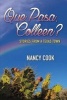 Que Pasa, Colleen? - Stories from a Texas Town (Hardcover) - Nancy Cook Photo