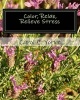 Color, Relax, Relieve Stress - An Adult Coloring Book (Paperback) - Carol E Yorke Photo