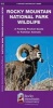 Rocky Mountain National Park Wildlife - A Folding Pocket Guide to Familiar Animals (Pamphlet) - James Kavanagh Photo