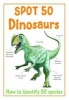 Spot 50 Dinosaurs (Paperback) - Belinda Gallagher Photo