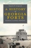 A History of Georgia Forts - Georgia's Lonely Outposts (Paperback) - Alejandro Mde Quesada Photo