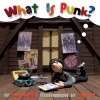 What is Punk? (Hardcover) - Eric Morse Photo