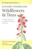 An Illustrated Guide to Eastern Woodland Wildflowers and Trees - 350 Plants Observed at Sugarloaf Mountain, Maryland (Paperback) - Melanie Choukas Bradley Photo