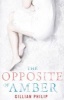 The Opposite of Amber (Paperback) - Gillian Philip Photo