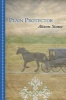 Plain Protector (Large print, Hardcover, large type edition) - Alison Stone Photo