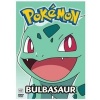  10th Anniversary 7-Bulbasaur (Japanese, Region 1 Import DVD) - Pokemon Photo