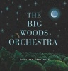 The Big Woods Orchestra (Hardcover) - Guido van Genechten Photo