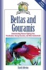 Bettas and Gouramis - Understanding Siamese Fighting Fish Paradisefish, Kissing Gouramis, and Other Anabantoids (Hardcover, 1st ed) - David Alderton Photo