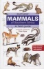 Smithers' Mammals of Southern Africa (Paperback, New edition) - Peter Apps Photo