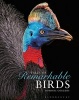 Tales of Remarkable Birds (Hardcover) - Dominic Couzens Photo