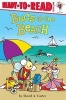 Bugs at the Beach (Paperback) - David A Carter Photo