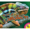 El Camaleon (Chameleon) (English, Spanish, Hardcover) - Aaron Carr Photo