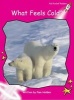 What Feels Cold? - Emergent (Paperback, International edition) - Pam Holden Photo