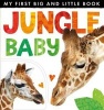 My First Big and Little Book: Jungle Baby (Novelty book) - Annette Rusling Photo