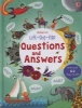 Lift the Flap Questions & Answers (Hardcover) - Katie Daynes Photo