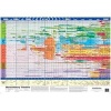 Super Jumbo - World History Timeline (Poster) -  Photo